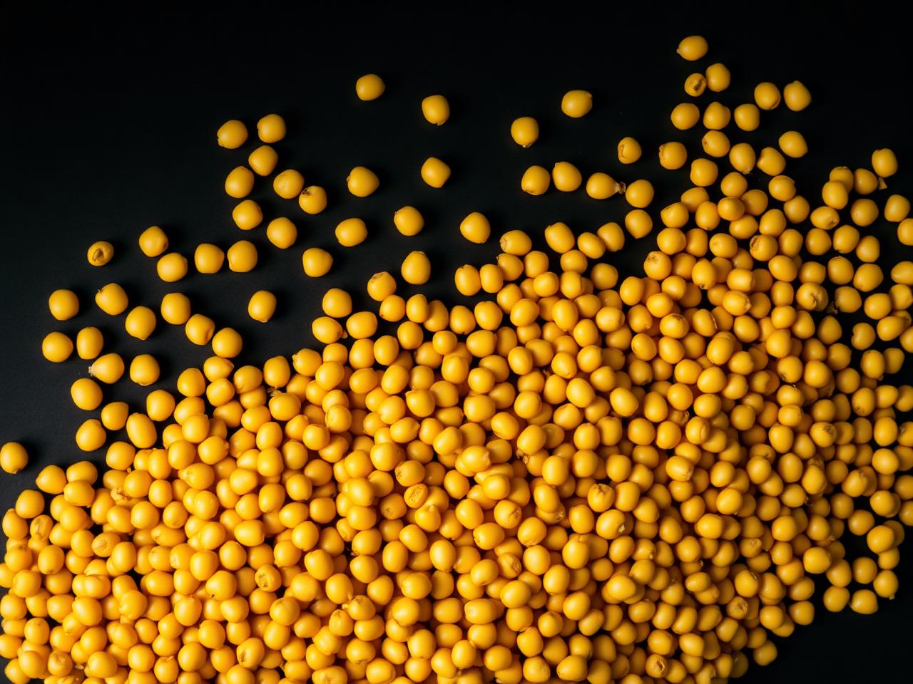 Non-GMO Soybeans